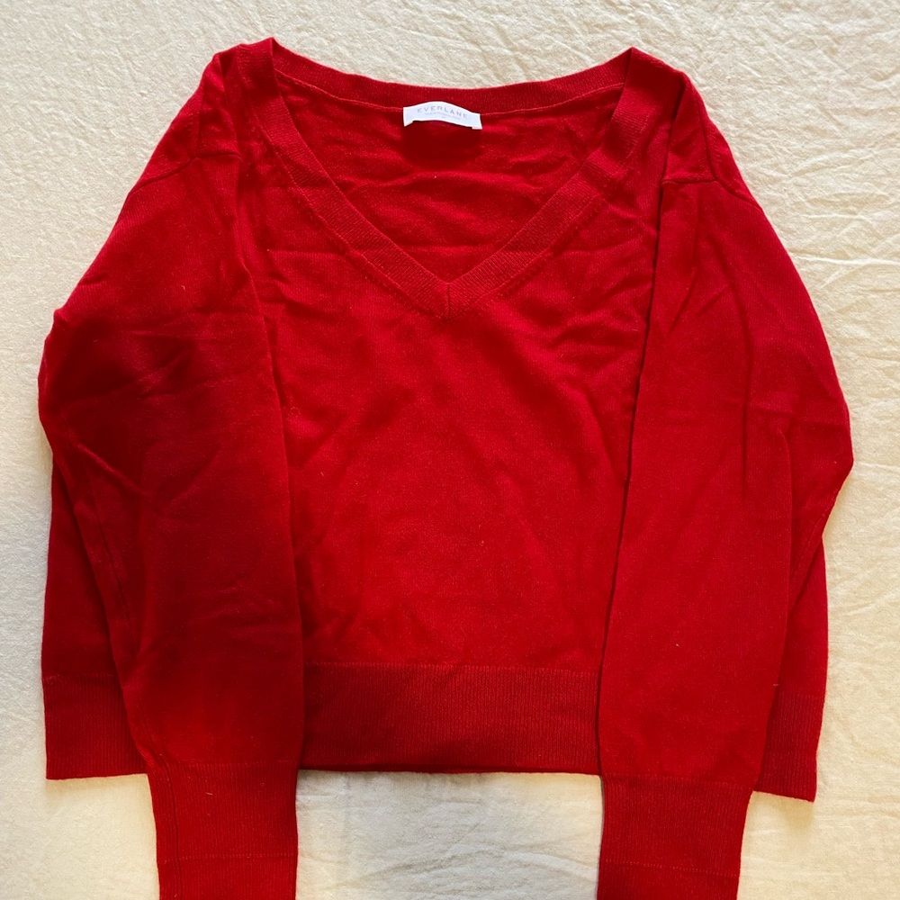 Ted Everlane V neck sweater